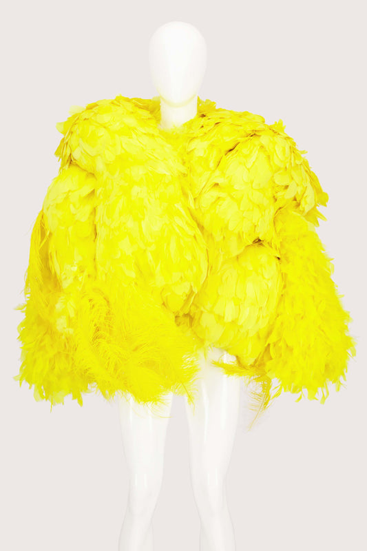 JimmyPaul Studio - Big Bird Jacket