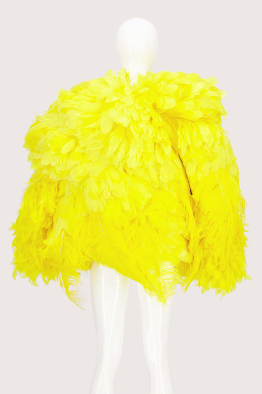 JimmyPaul Studio - Big Bird Jacket