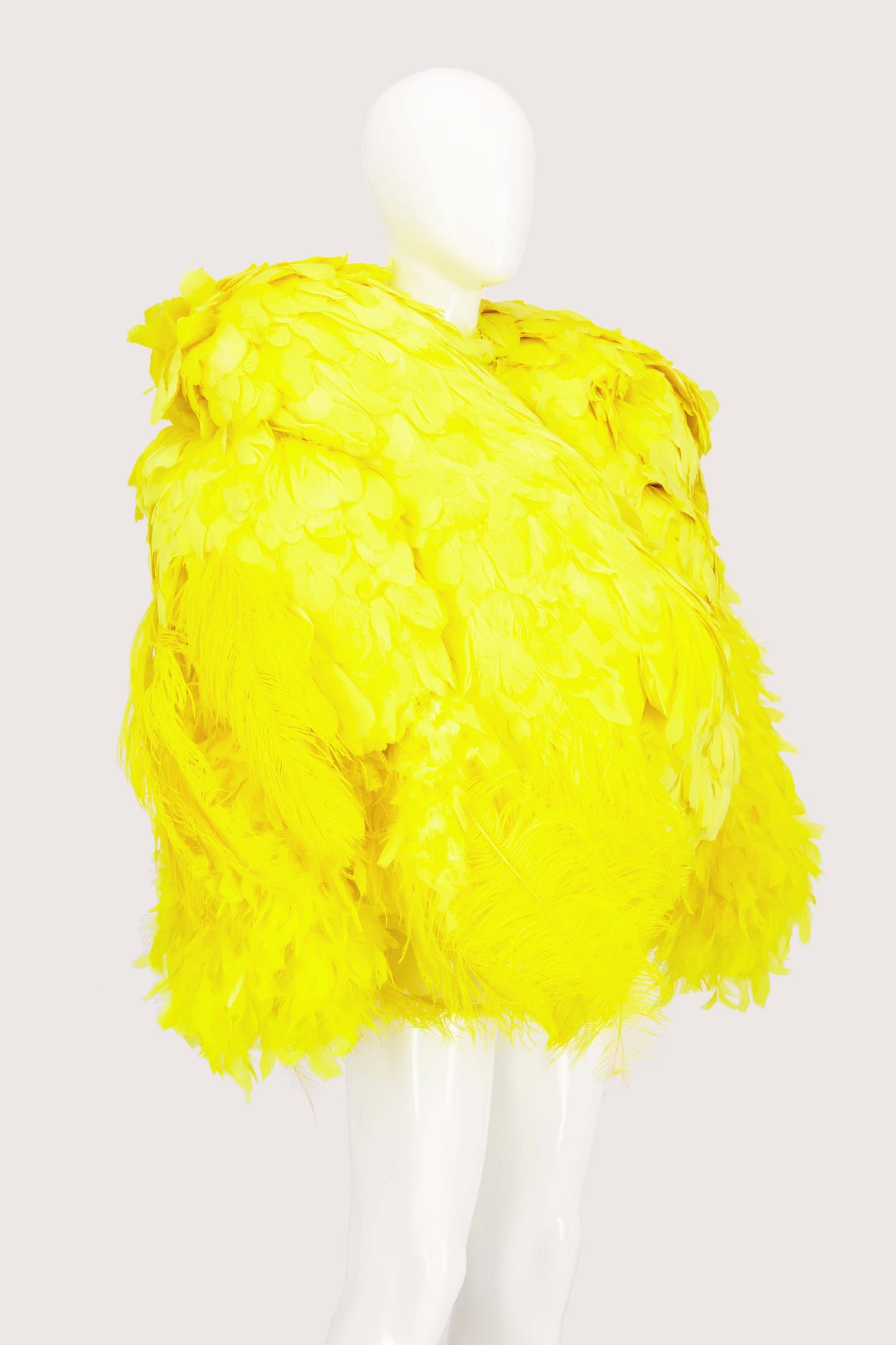 JimmyPaul Studio - Big Bird Jacket