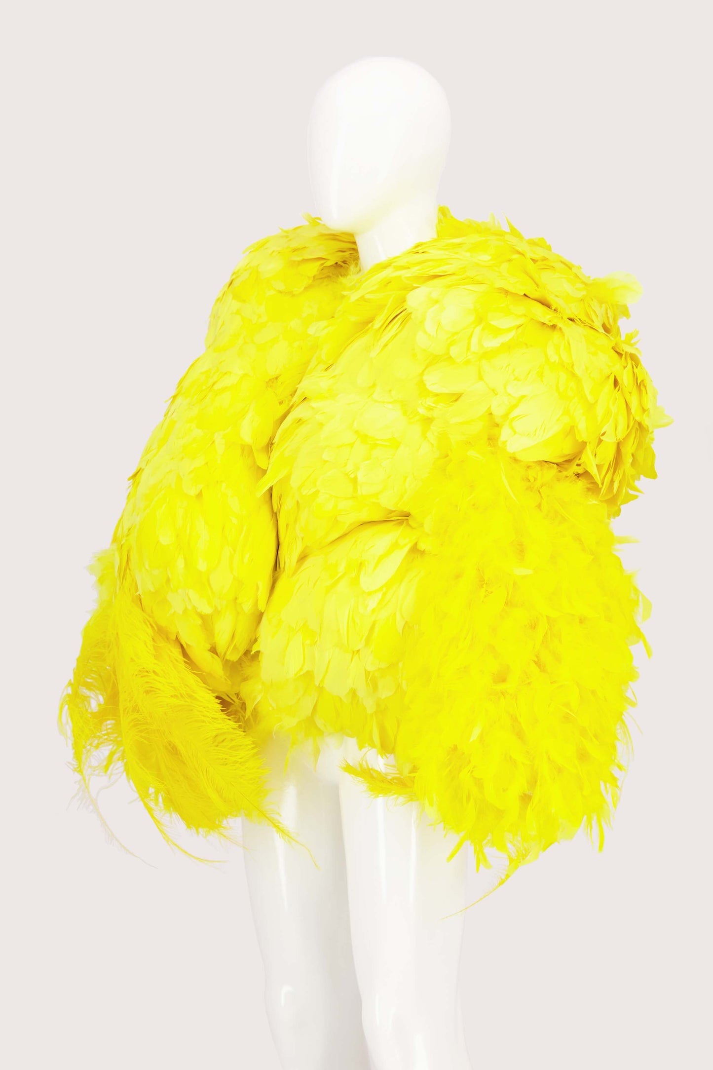 JimmyPaul Studio - Big Bird Jacket